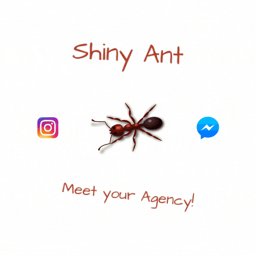 Shiny Ant Agency